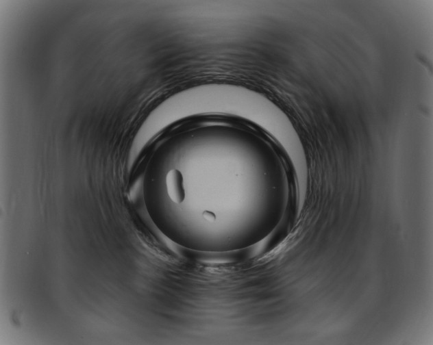 X0000095530188200712141510