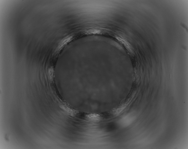 X0000095530189200712141510