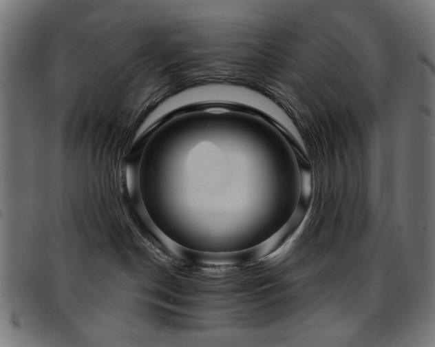 X0000095530190200712141510