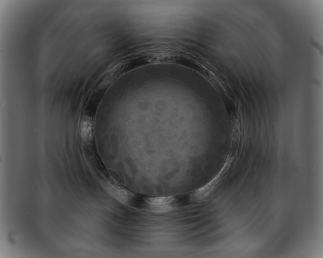 X0000095530191200712141510