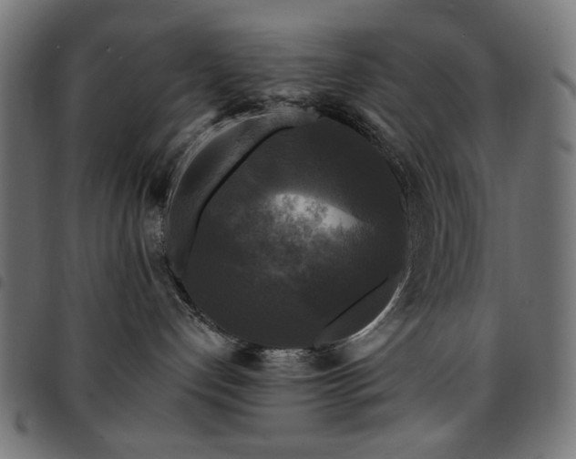 X0000095530192200712141510