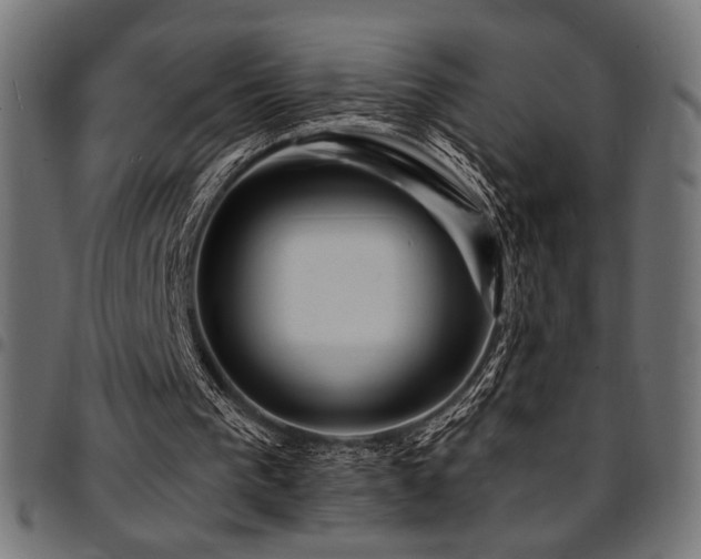 X0000095530193200712141510