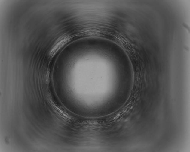 X0000095530194200712141510