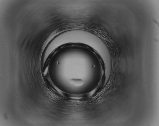 X0000095530195200712141510