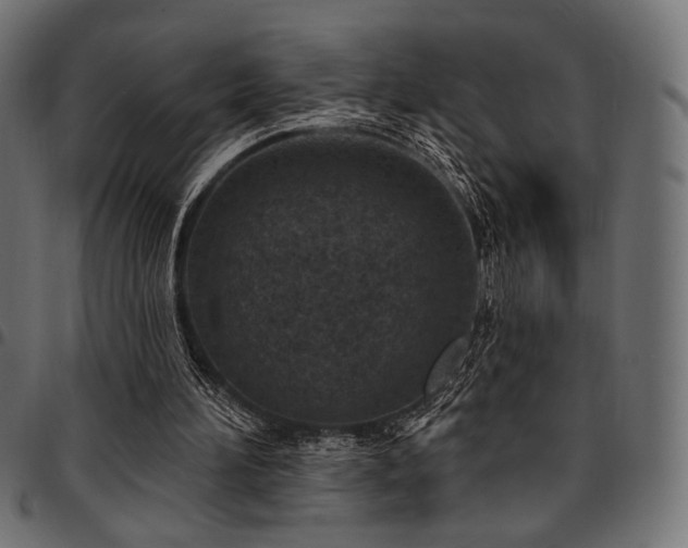 X0000095530196200712141509