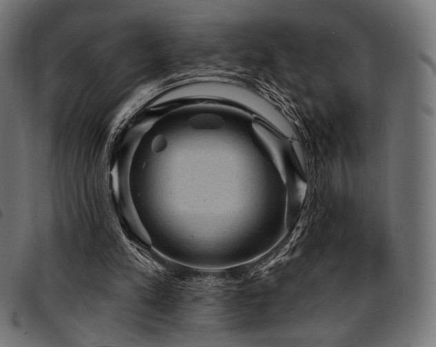 X0000095530197200712141509