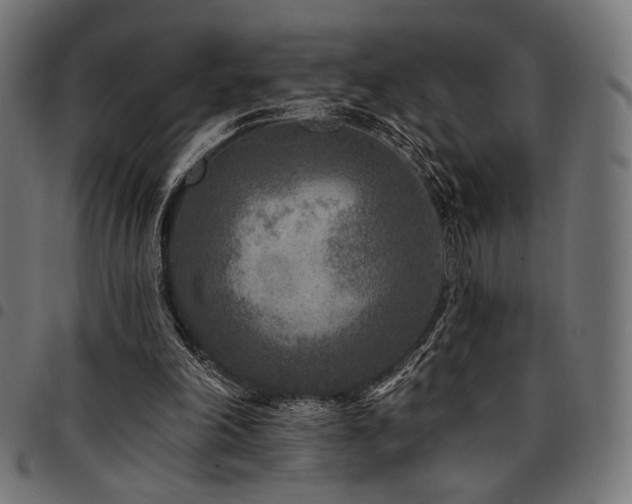 X0000095530198200712141509
