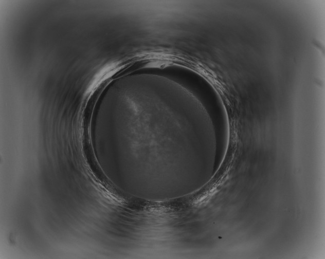 X0000095530199200712141509