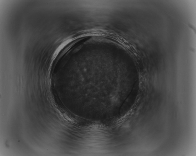X0000095530200200712141509