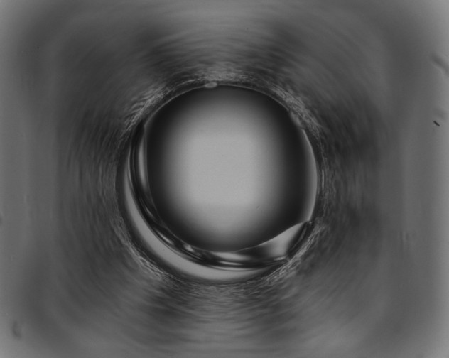 X0000095530201200712141509