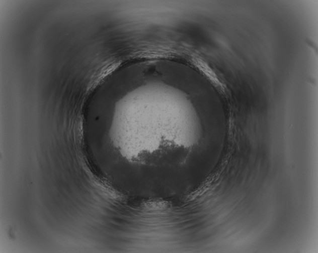 X0000095530202200712141509