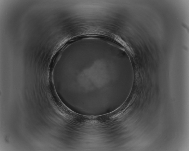 X0000095530203200712141509