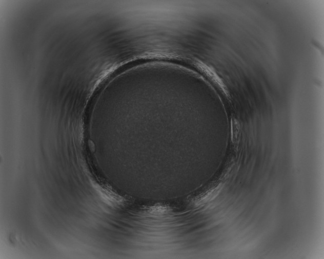 X0000095530204200712141509