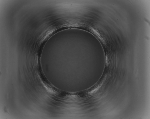 X0000095530205200712141509