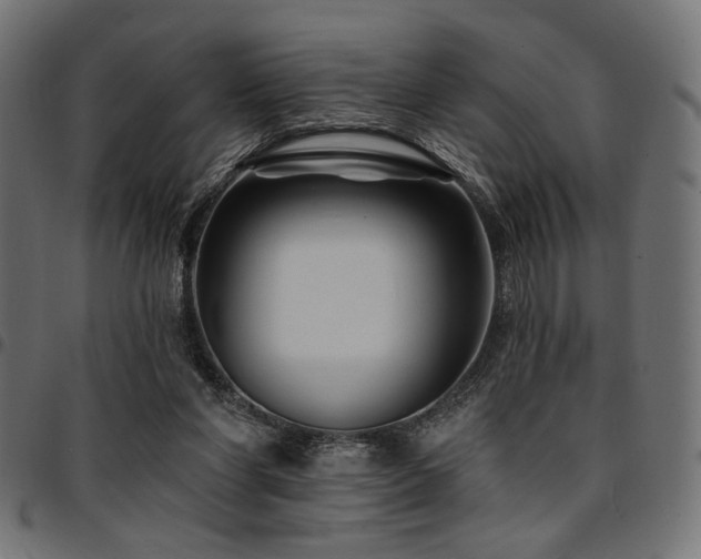 X0000095530206200712141509