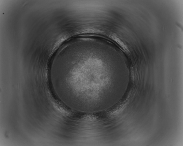 X0000095530207200712141509