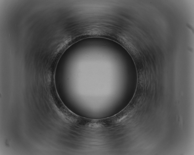 X0000095530208200712141509