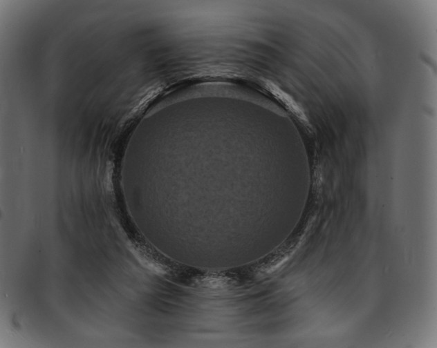 X0000095530209200712141509