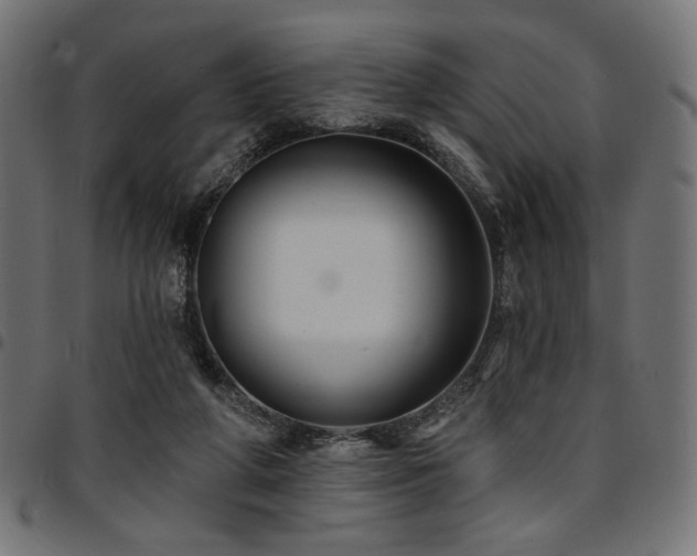 X0000095530210200712141509