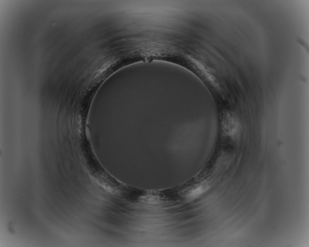 X0000095530211200712141509