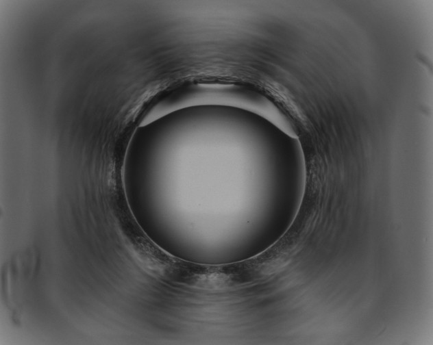 X0000095530212200712141509