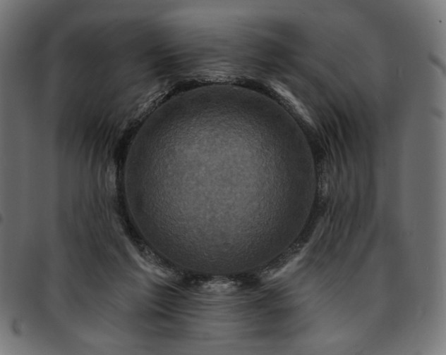 X0000095530213200712141509