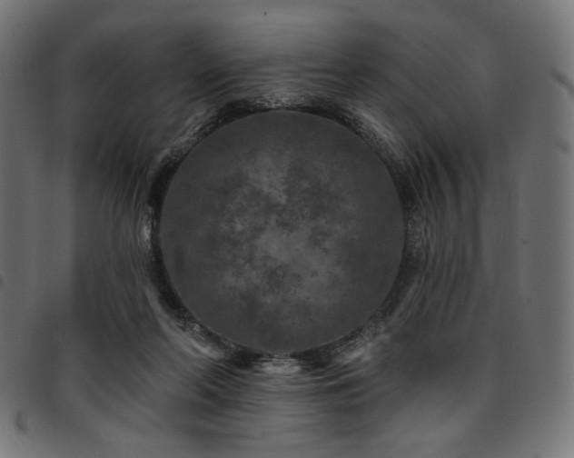 X0000095530214200712141509