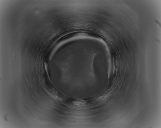 X0000095530215200712141509