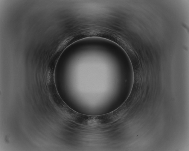 X0000095530216200712141509