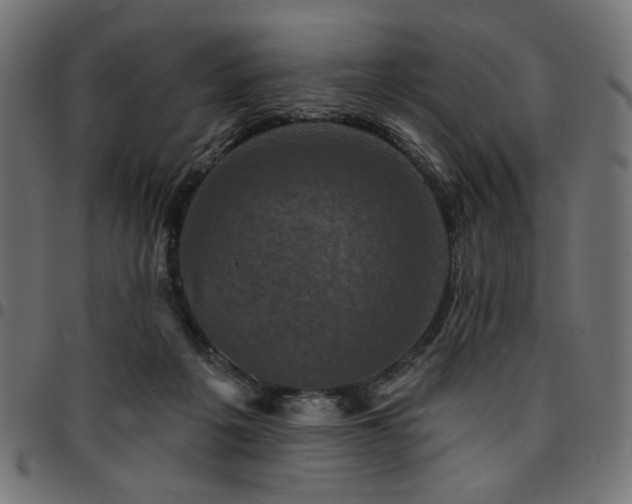 X0000095530217200712141509