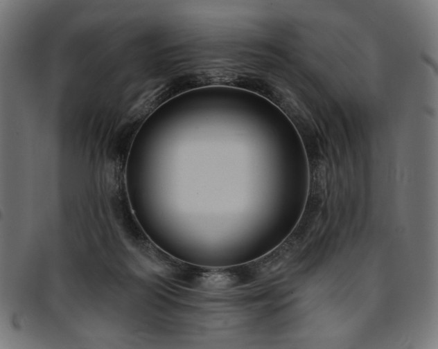 X0000095530218200712141509