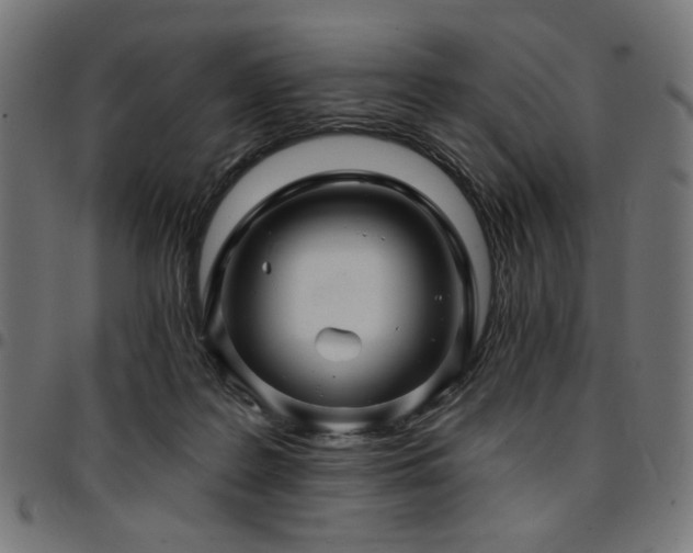 X0000095530219200712141509