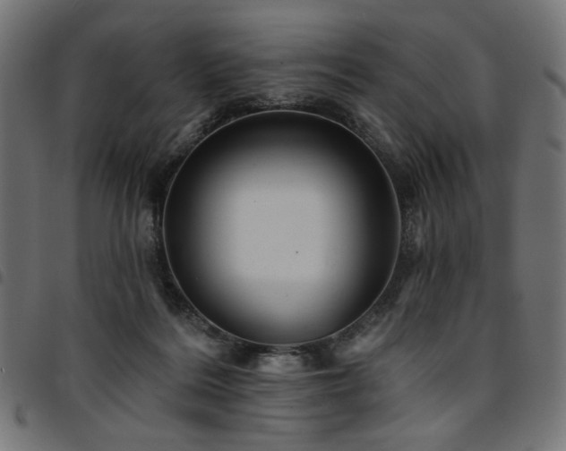 X0000095530220200712141509