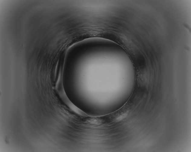 X0000095530221200712141509