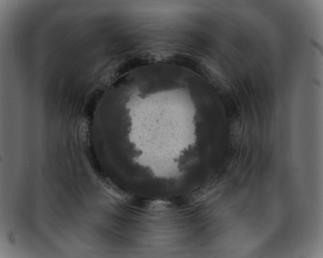 X0000095530222200712141509