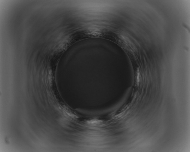 X0000095530223200712141509