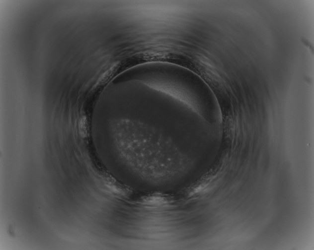 X0000095530224200712141509