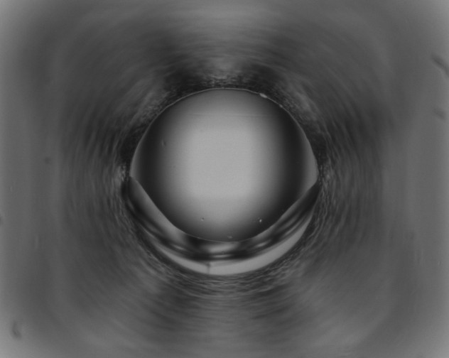 X0000095530225200712141509