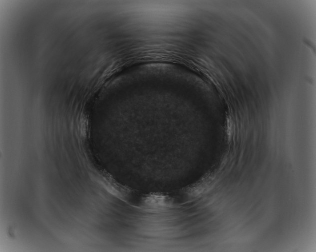 X0000095530227200712141509