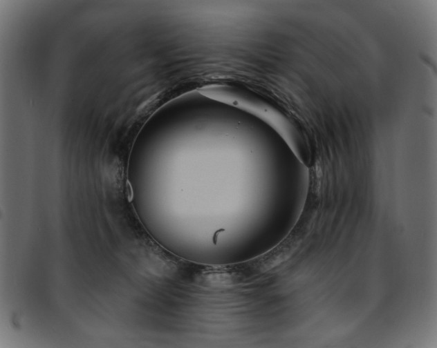 X0000095530228200712141509