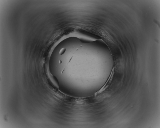 X0000095530229200712141509