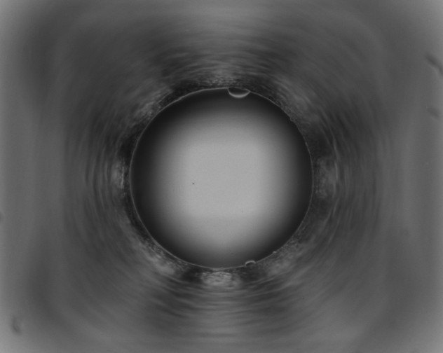 X0000095530230200712141509