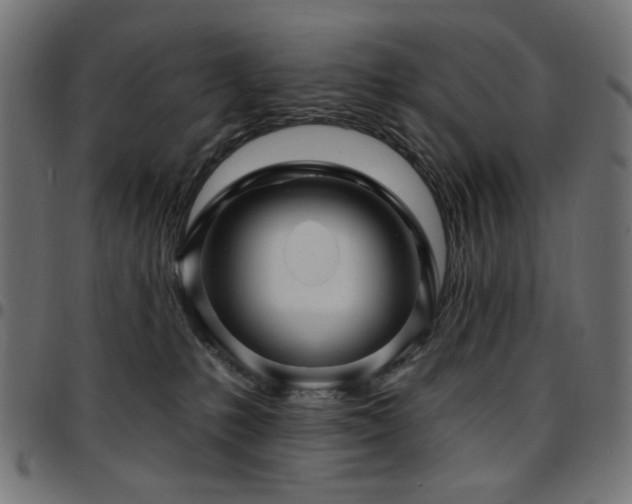 X0000095530231200712141509