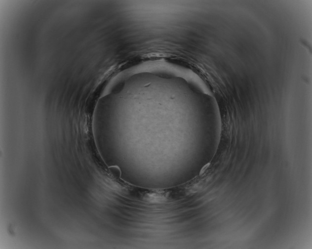 X0000095530232200712141509