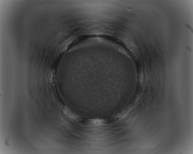 X0000095530233200712141509