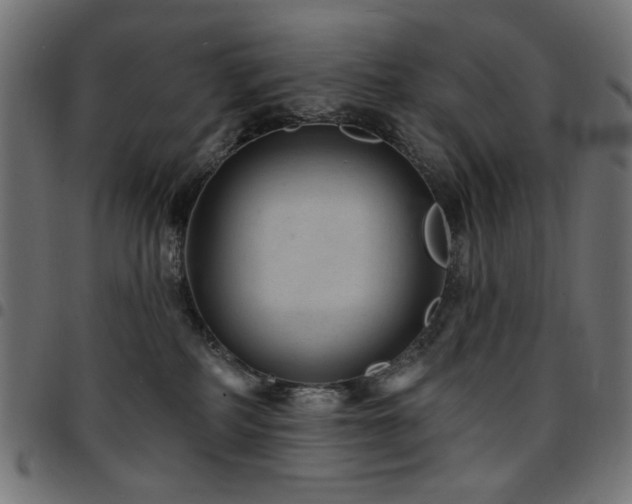 X0000095530234200712141509