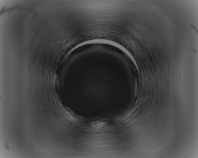 X0000095530235200712141509