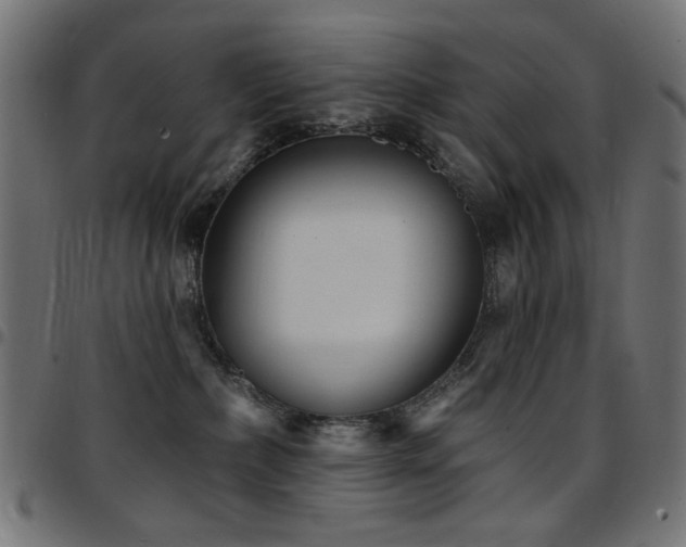 X0000095530236200712141509