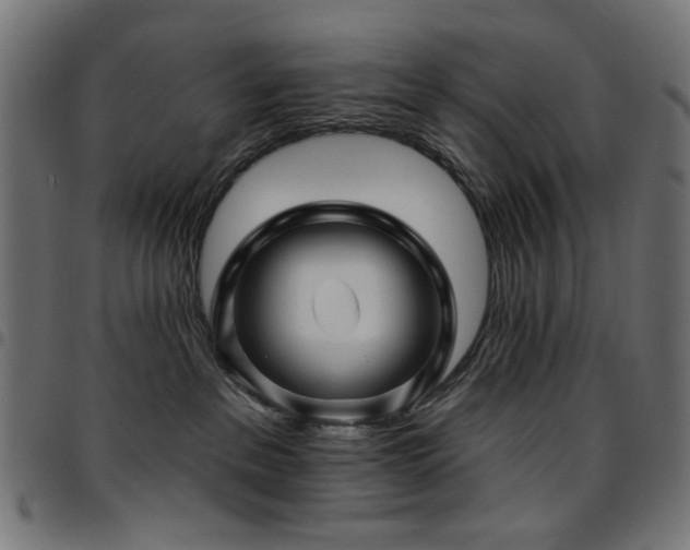 X0000095530237200712141509