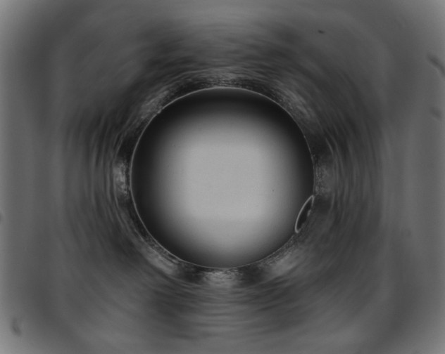 X0000095530238200712141509